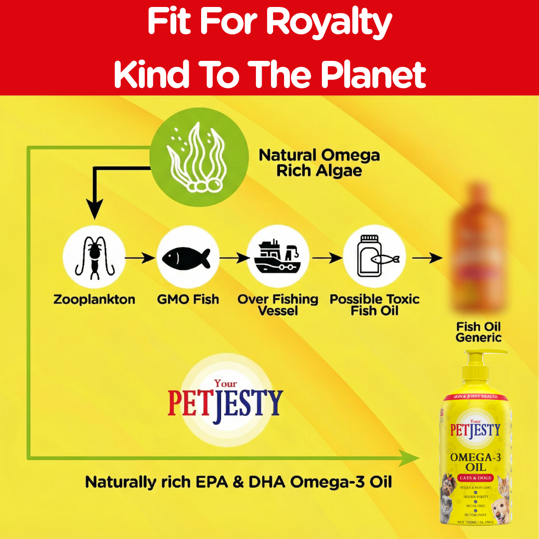 PetJesty Premium: Vegan Omega 3, 6 & 9 Algae Oil for Cats and Dogs