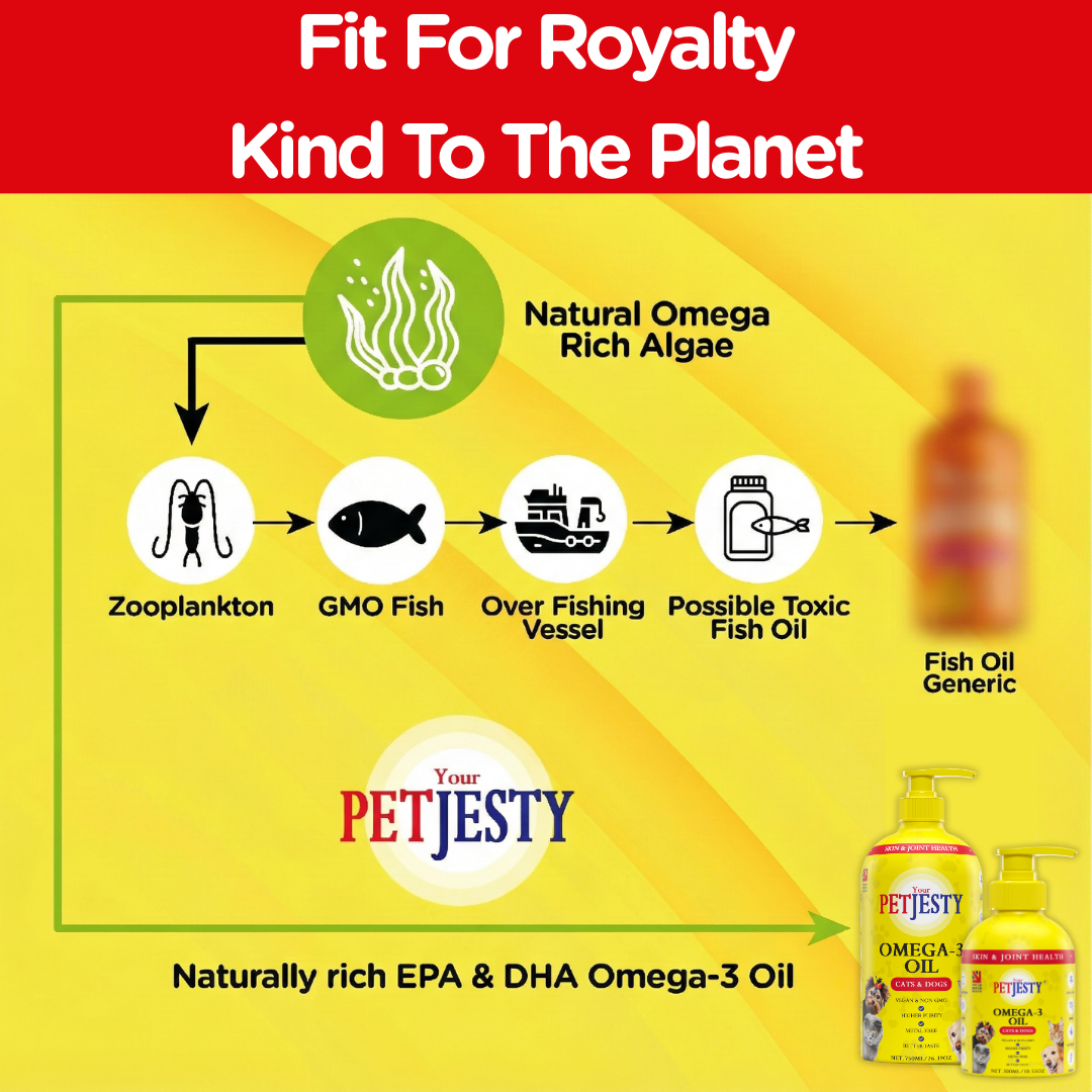 PetJesty Premium: Vegan Omega 3, 6 & 9 Algae Oil for Cats and Dogs