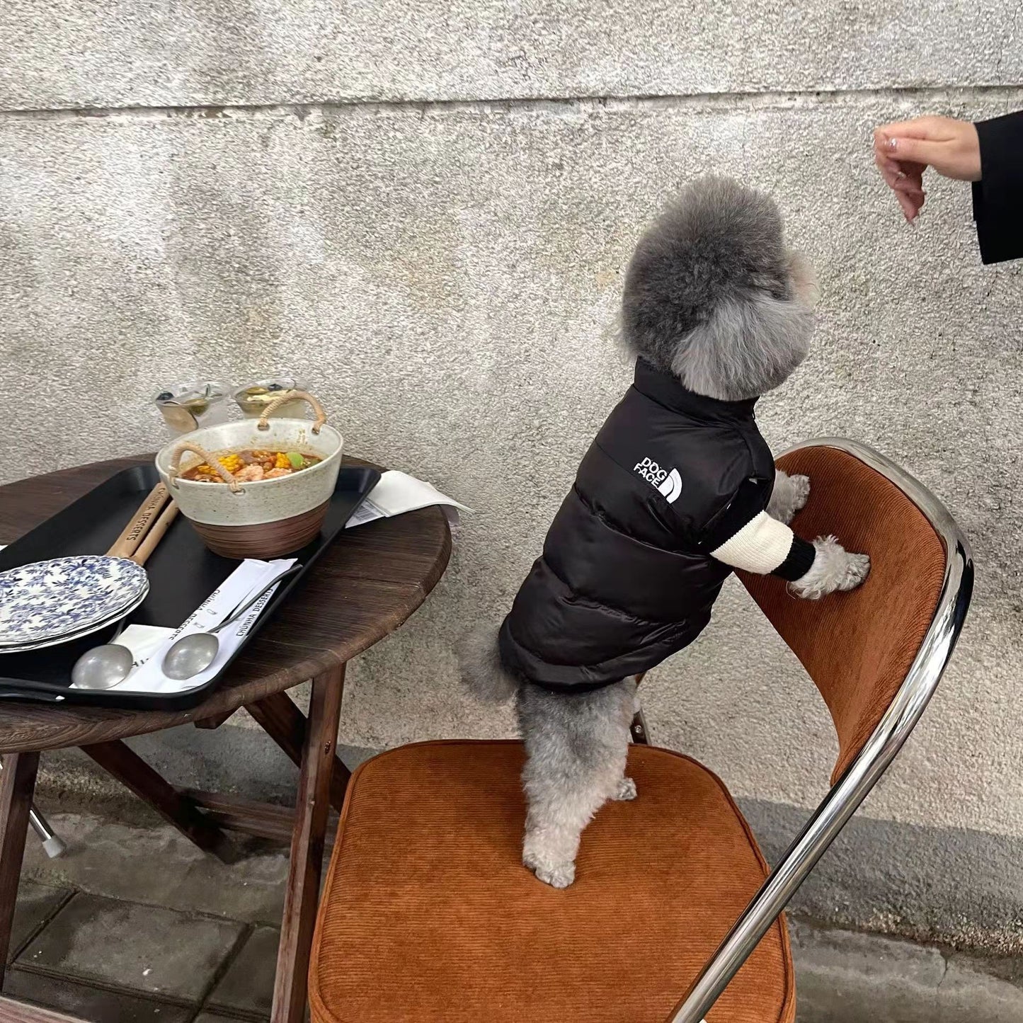 THE DOG FACE Puffer Warm Dog Jacket