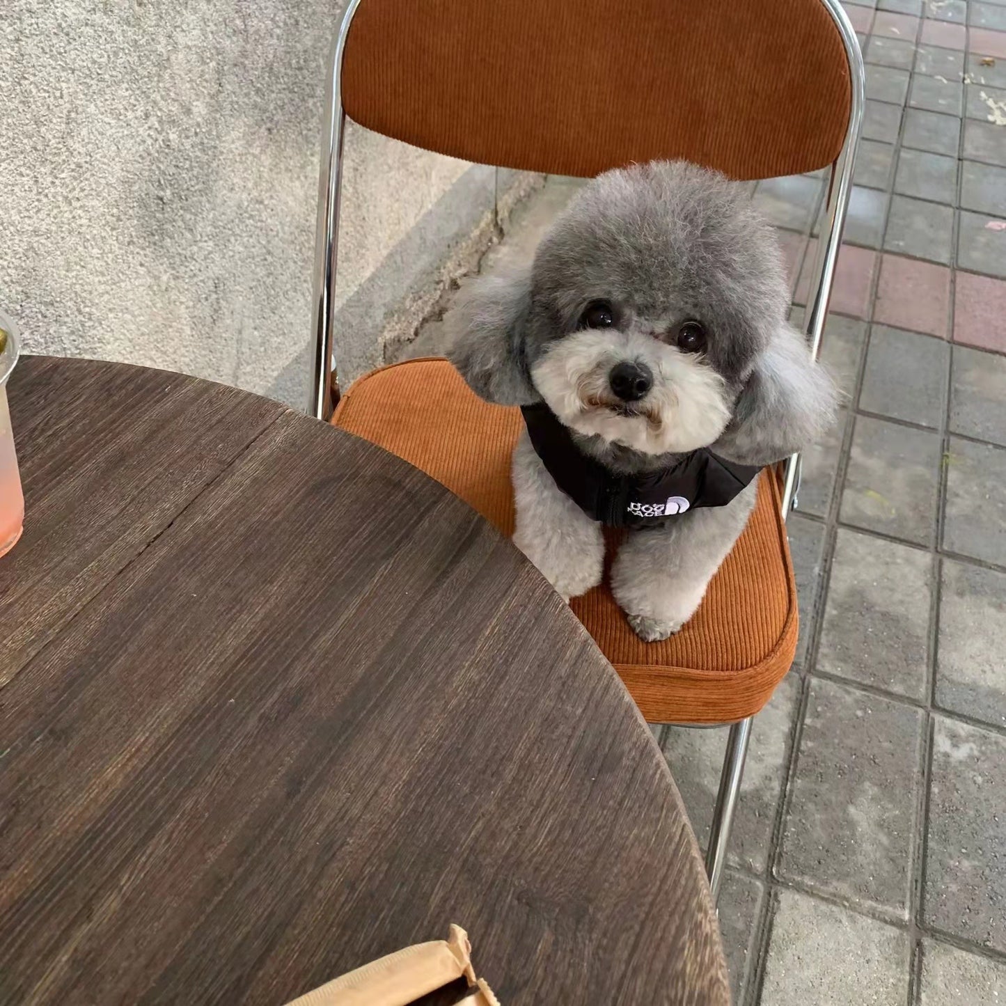 THE DOG FACE Puffer Warm Dog Jacket