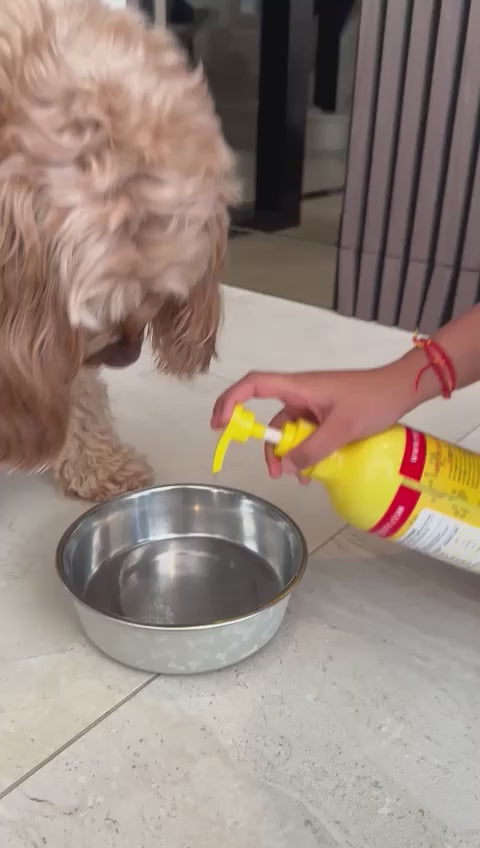 PetJesty Pure: Superior Vegan Omega 3 Oil for Ultimate Pet Wellness & Vitality